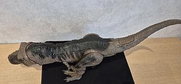 Yuvalar: T-Rex dino fiquru – realist detallarla böyük ölçülü oyuncaq. jurassic — 4