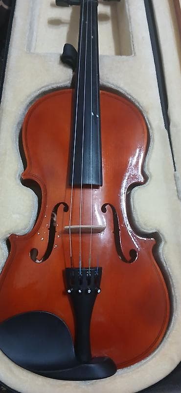 skripkalar: Salam.skripka satıram 4/3 1 il işlənib.səsi tam oturub.karlovy — 1