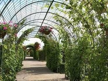 demir alanlar bakida: Talvar .kölgəlik — 9