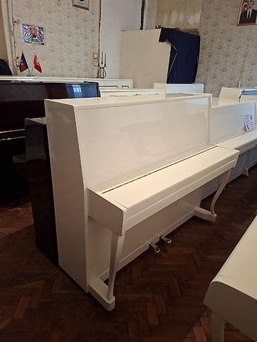 piano belarus: Piano, Akustik, Yeni, Pulsuz çatdırılma — 2