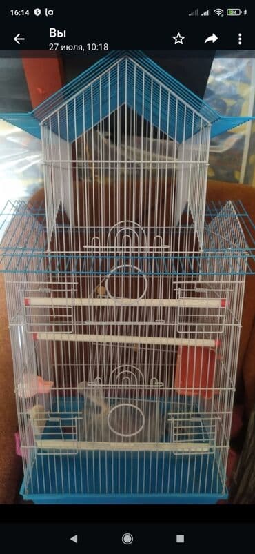домик для собак: Qəfəslər satılır,cütü 50 azn — 2