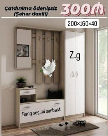 dehliz skaflari: Yeni, Açılan, Düz dolab, Dəhliz dolabı — 1