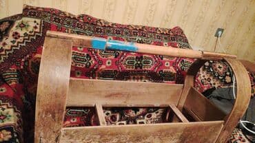 yolka ağacı: Diqqət təcili cox qədimi 1 əsr yaşı var. Şəkildə böyük şjafkara — 2