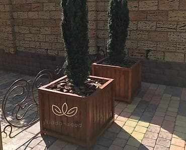 mandarin ağacı: Taxta dekorativ böyük dibçəklər – Ikıadamwood Salam hər vaxtınız — 3