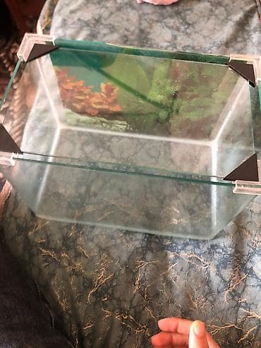 it şekilleri: Akvaryum üçün şüşə qapaq dəsti - Şəffaf şüşə qapaq: düzbucaqlı forma — 5