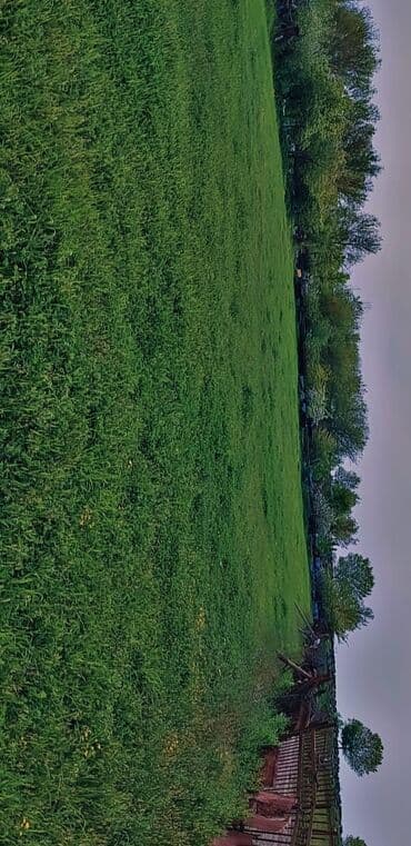 аренда земли под шиномонтаж: 10 соток Для сельского хозяйства, Газ, Электричество, Водопровод — 4