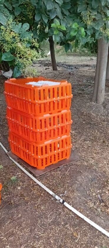 it satışı: Təcili satılır.6 ədədi 240manat — 9