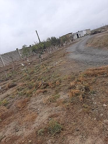 zigda satilan heyet evleri: Mal-qaranın saxlanışı və heyvandarlıq üçün təsərrüfat sahəsi və — 7