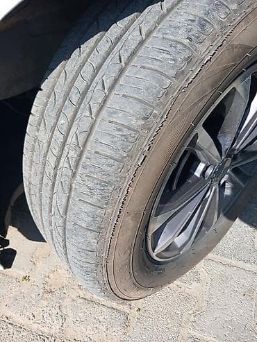 tekerler 13: Yeni Şin 225 / 60 / R 16 — 1