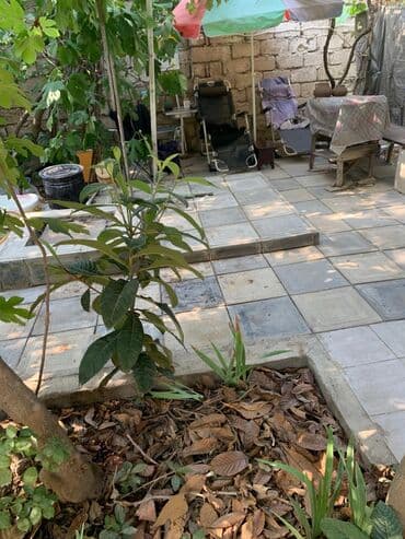 Odun: Продаю землю в амираджанах около рельсов комсомольская дорога4 сотки — 9