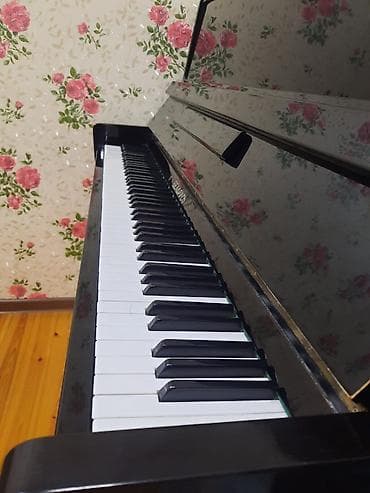 pian: Piano ela veziyyetde. 2 pedaldi. Her bir seyi ela veziyyetdedir. Unvan — 3