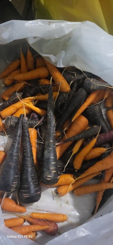 Mürəbbələr: Məhsul: Rəngli kök dəsti Təsvir: - Portağal, bənövşəyi və qara rəngli — 1