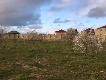 ist petrol tbilisi prospekti: 25 sot, Tikinti, Makler, Kupça (Çıxarış) — 10