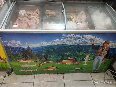 Şüşəli dondurucu