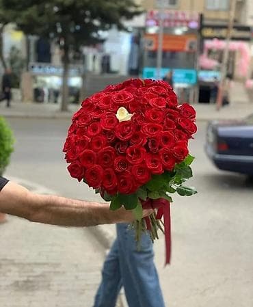 dibcekde guller: 🔴 51 Qızılgul səbəti - 85₼. Klassik buket - 105₼. Burulma qızılgül — 2