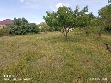 mingəçevir kirə evlər: 15 sot, Kupça (Çıxarış) — 8