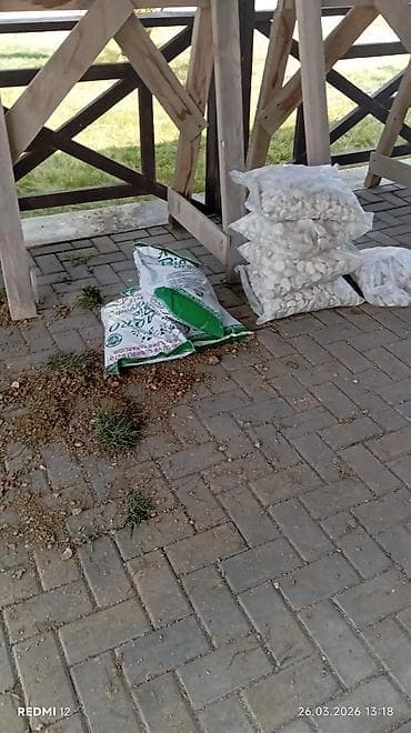 biogel aloe vera: Otaq bitgilerine torf ve drenaj perlit parladcilar — 2