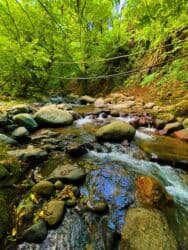 аренда и продажа недвижимости: 100 kv. m, 2 otaqlı, Qaz, İşıq, Su — 9