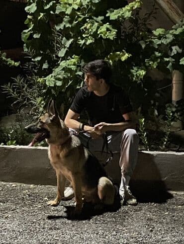 tok coban: Alman çoban iti, 1 il, Erkek — 3