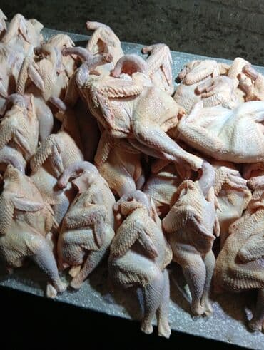 Yarmalar və paxlalar: Məhsul: Təmizlənmiş ev toyuqları (bütün) Təsvir: - Tam şəkildə — 3