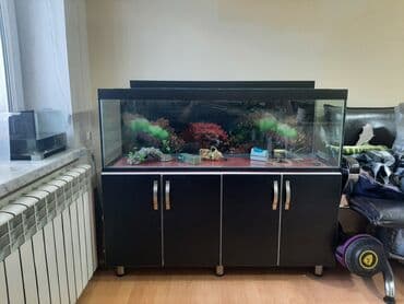 FAW: Böyük ölçülü akvarium dəsti - Şüşə akvarium, düz şüşə ön və yan — 2