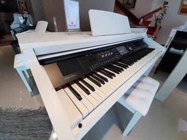 piano dersleri baki: Pianino elektron. Royal musiqi aletleri magazalar shebekesi sizlere — 1