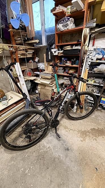 velosiped 28 satilir: PLATINUM dağ velosipedi - Çərçivə: yüngül alüminium alaşımlı, birbaşa — 4