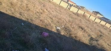 lalafo az gence torpaq sahesi: 24 sot, Tikinti — 5