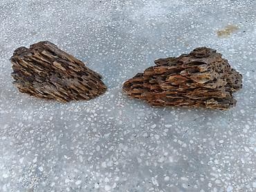 alpin kecisi: Dragon daşları, Koregalar, Akvaryum dekoru üçün təbii materiallar — 2