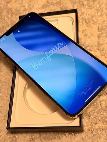 iphone 12 korpus: IPhone 12 Pro Max, 256 GB, Qızılı, Barmaq izi, Simsiz şarj, Face ID — 1