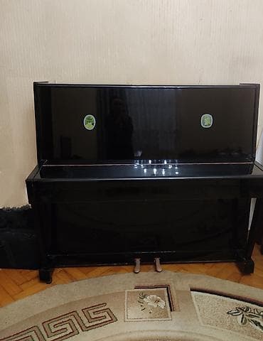 Piano, Belarus, Akustik — 1