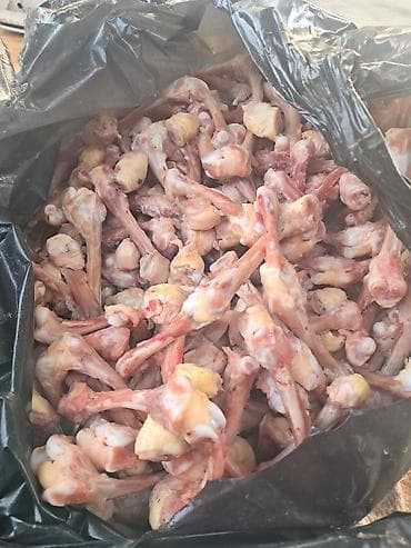 kömür toptan: Digər brend Toyuq Topdan — 6