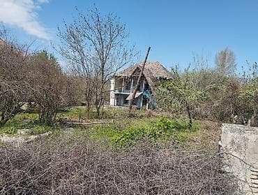 yeni guneşlide ucuz evler: Kənd təsərrüfatı — 6