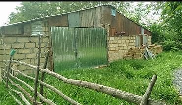 culyanda kiraye evler: Kənd təsərrüfatı — 8