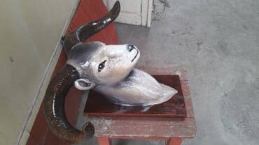 test book testler: Qoç heykəli qipstəndi buynuzlar təbiidi — 2