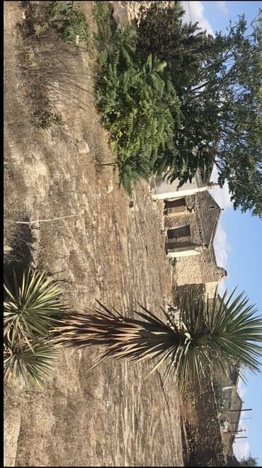 koroglu heyet evleri: 40 sot, Tikinti, Mülkiyyətçi, Kupça (Çıxarış), Bələdiyyə, Texniki pasport — 3