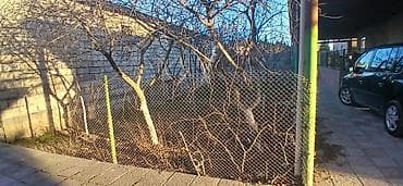 Satdig agaclar var merdekanda. Alan adam heyetden cxarib aparmali