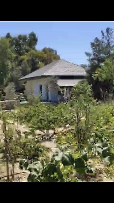 lerik ev kiraye: Nardaran. Sea Breezele uz-beuz 44 sot, 6 dene ev (ayrica), 11 otag — 5