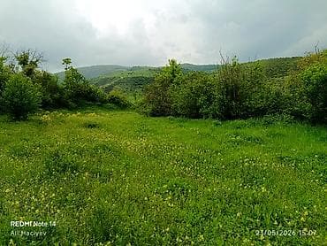 8 sot, Tikinti, Makler, Kupça (Çıxarış)