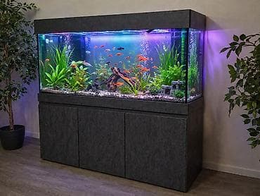 сколько стоит аквариум: Вместе с рыбами, 3 л, Платная доставка — 2
