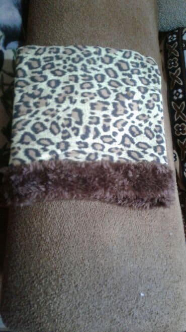 ucuz pisik yemekleri: Dişi — 5