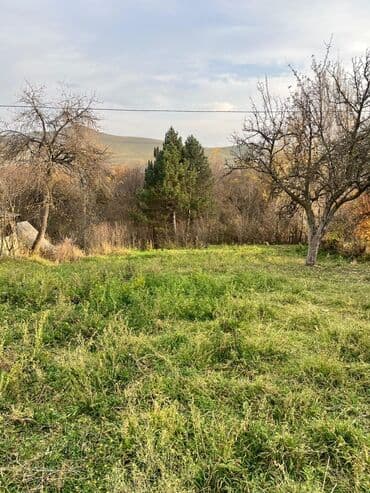 lenkaranda torpaq: 20 sot, Kupça (Çıxarış) — 9