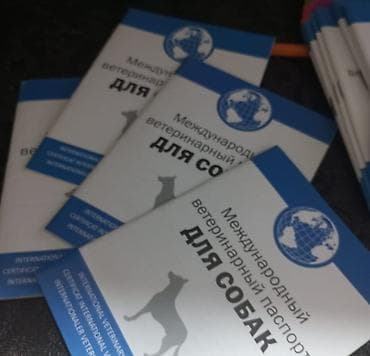 heyvan alqi satqisi: Ветеринарный паспорт
Baytar heyvan pasportlari — 2