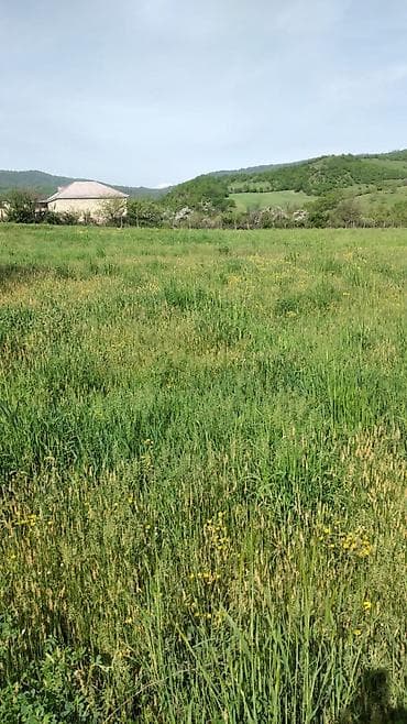 ehmedlide ipoteka evler: Tikinti — 1