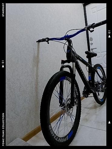 İdman velosipedləri: Panther dağ velosipedi -Velosiped yaxşı vəziyyətdədir.Amortuzator yağ — 2