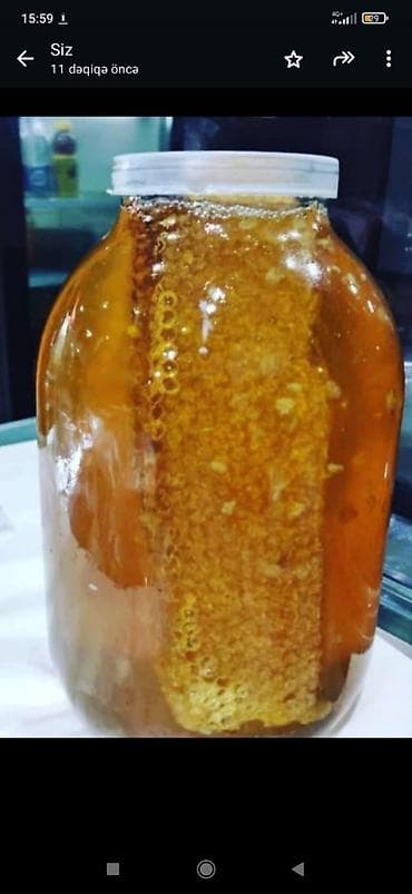 Təmiz Daşkəsən balı dağ balı çiçək balı kim harda işləyir yoxlasın öz