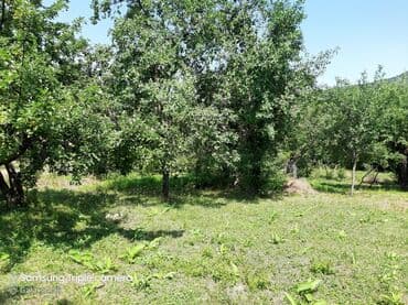 şabran torpaq: 10 sot, Tikinti, Mülkiyyətçi, Kupça (Çıxarış) — 16