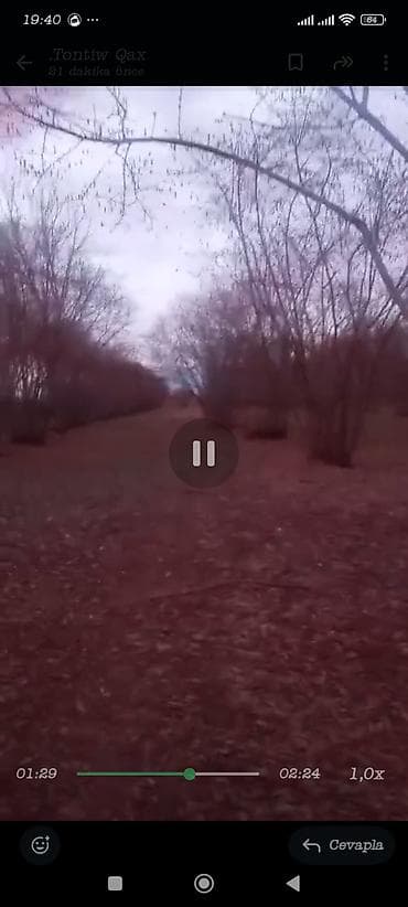 mingecevir satiliq evler: 1 sot, Kənd təsərrüfatı — 3