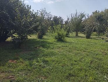 kiray: Kənd təsərrüfatı, Kommunal xətlər qoşulmayıb — 2