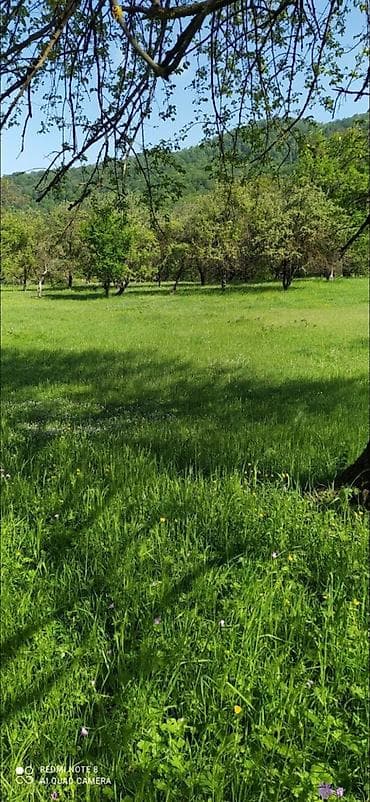 badamdarda tecili satilan evler: 48 sot, Kənd təsərrüfatı, Mülkiyyətçi, Bələdiyyə — 8